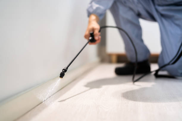 Licensed Rodent Control service in Delcambre, LA - Nex Pest Control