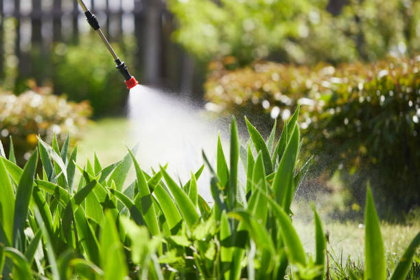 24/7 Emergency Rodent Control experts in Delcambre, LA