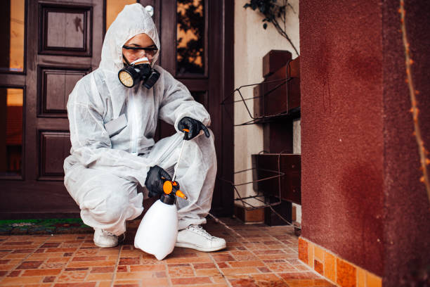 Reliable Rodent Control contractor in Delcambre, LA by Nex Pest Control